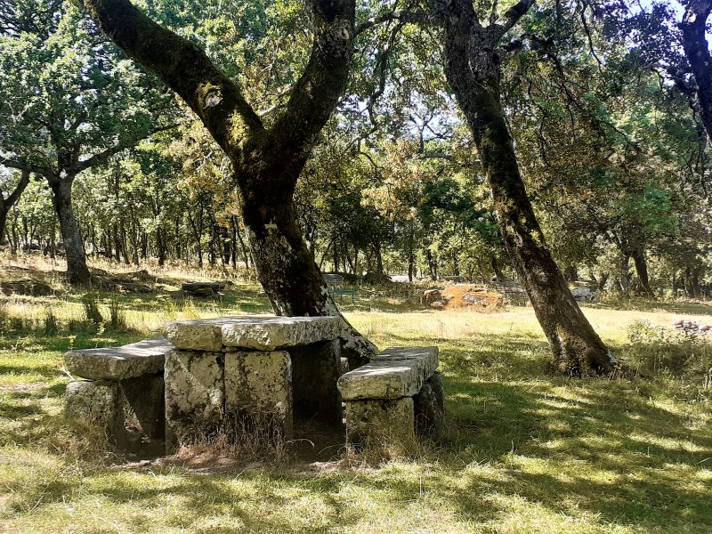 Bosco di Ortachis, Bolotana