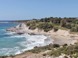 Spiaggia di Lucaise, Carloforte