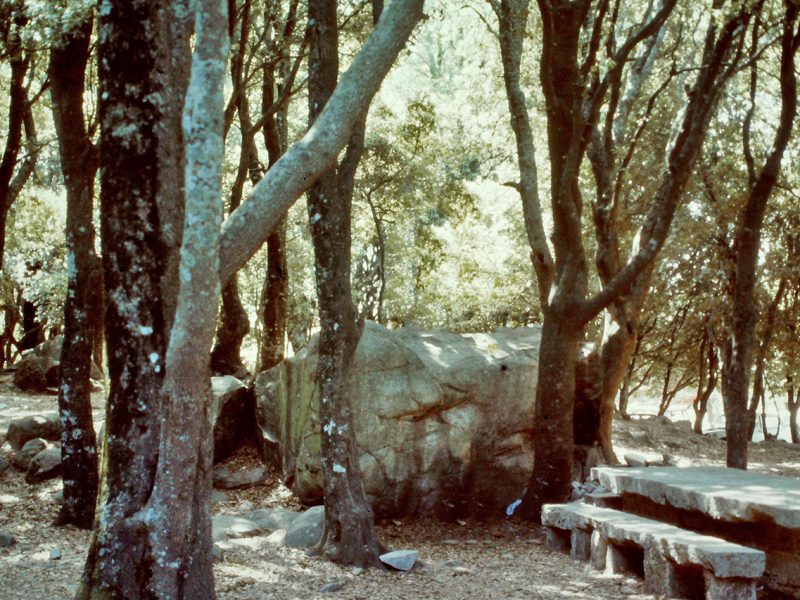 Bosco di Selene, Lanusei