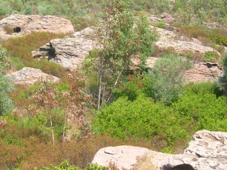 Necropoli preistorica di Serra Maverru, Gonnesa