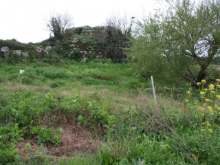 Nuraghe Cae, Pozzomaggiore