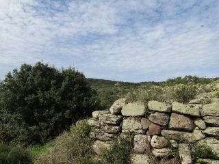 Nuraghe Carrarzu Iddia, Bortigali