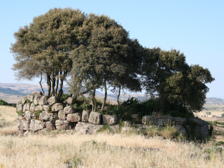 Nuraghe Corru Oes, Cossoine