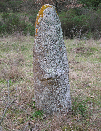 Menhir Reinamare, Monteleone Roccadoria