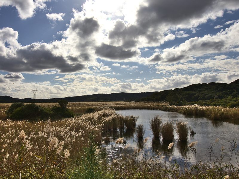 Stagno Sa Masa, Gonnesa (SU)