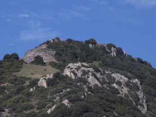 Monte Arbu, Silanus