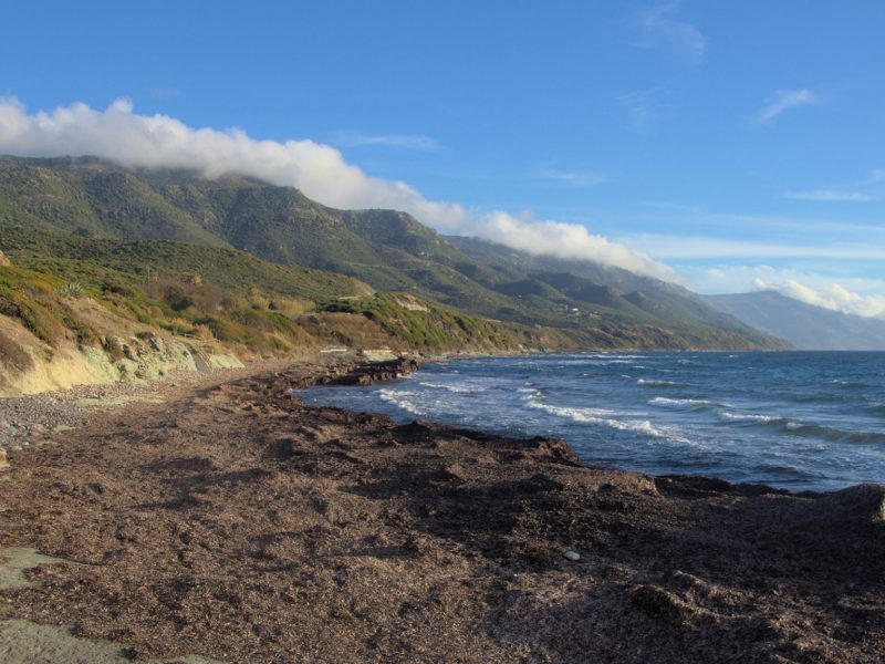 Costa e spiaggia di Poglina, Villanova Monteleone