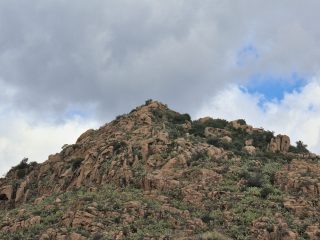 Porfidi di Monte Piccinnu, Su Tancau e Sa Murta, Lotzorai (NU)