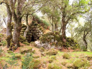 Nuraghe Costa, Burgos