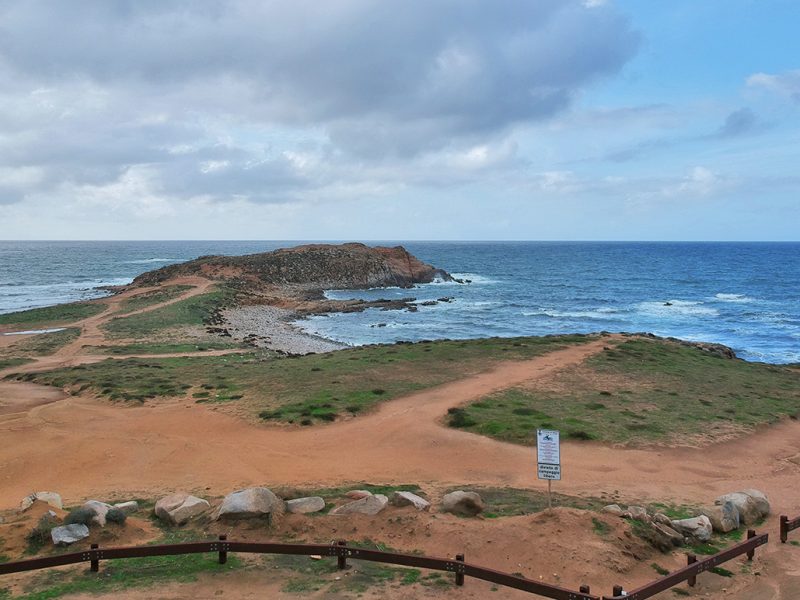 Capo Pecora, Arbus