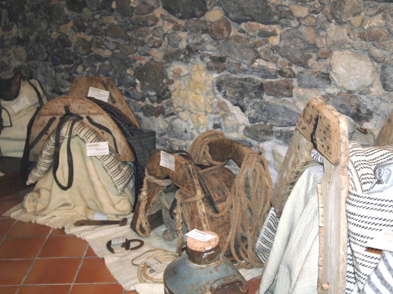 Museo del Cavallo, Pozzomaggiore