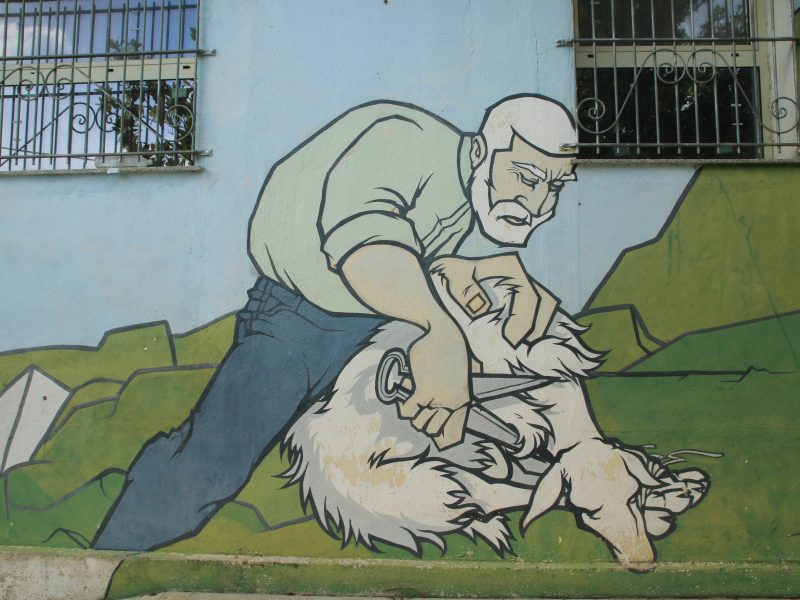 Murales, Onanì