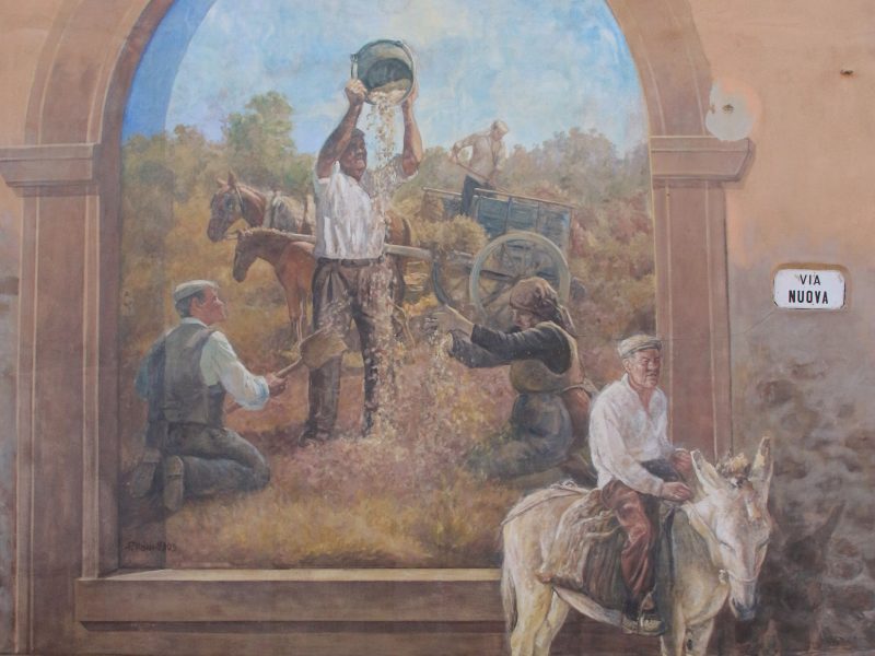 Murales, Tinnura