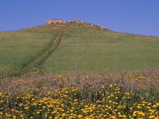 Cuccuru Nuraxi, Settimo San Pietro