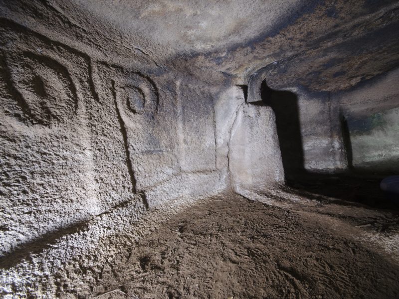 Domus de janas “Funtana Pudida” - detail of the cell with ram protome, Perfugas