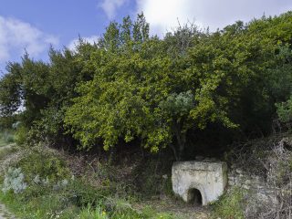 Tomba di giganti Oridda, Sennori