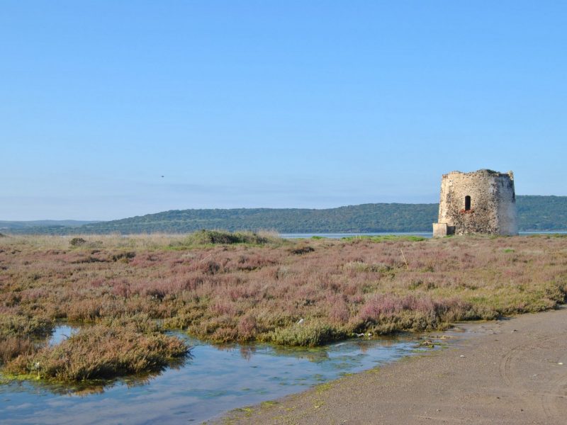 Torre di Marceddì, Terralba