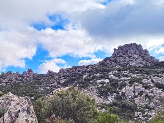 Parco dei Sette Fratelli - Monte Genis, Sud Sardegna