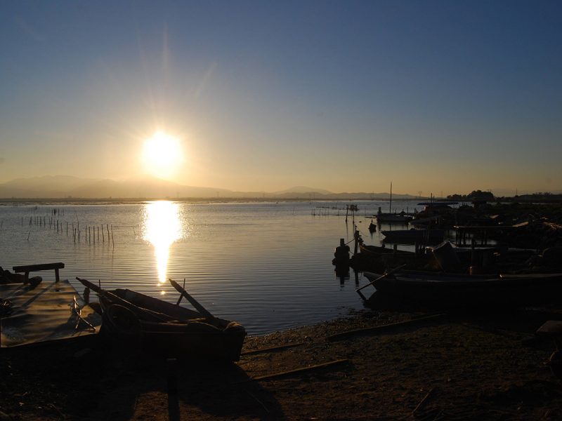 Santa Gilla Lagoon, Cagliari (CA)