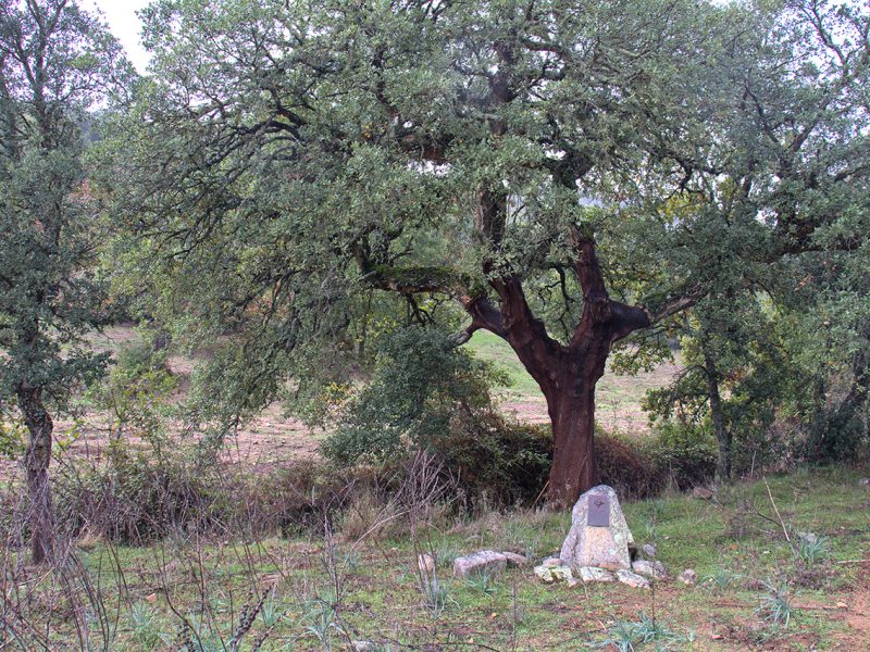 Centro Geografico Sardegna, Sorgono (NU)