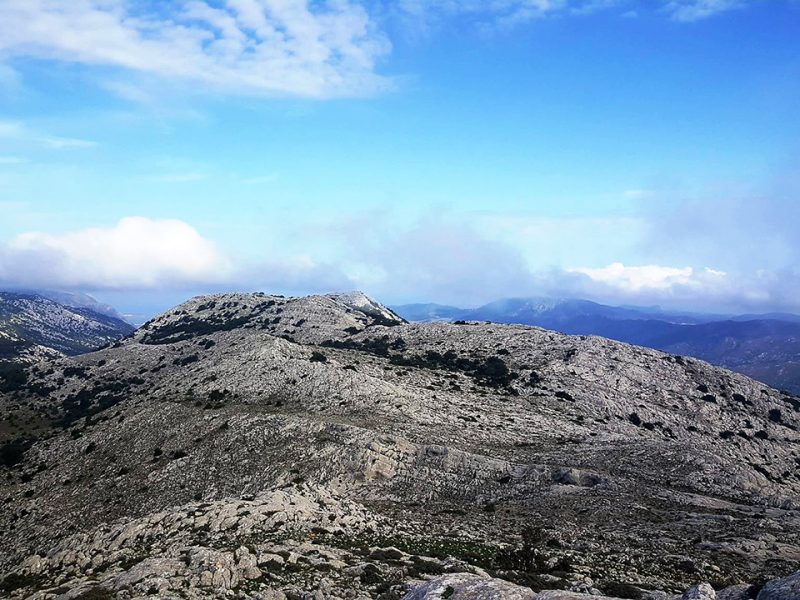 Monte Albo, Lula (NU)