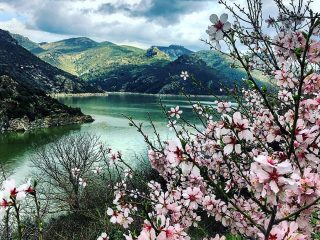 Lago Basso del Flumendosa, Nurri (SU)