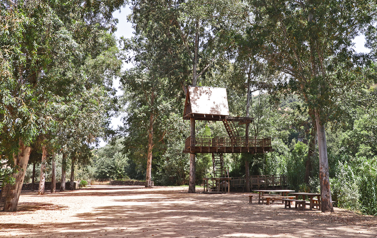 Parco della Casa sull'Albero - Idese