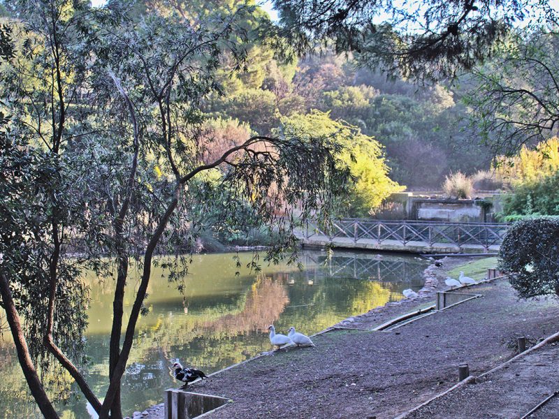 Parco di Monte Urpinu, Cagliari (CA)