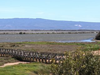 Laguna di Marceddì, Terralba (OR)