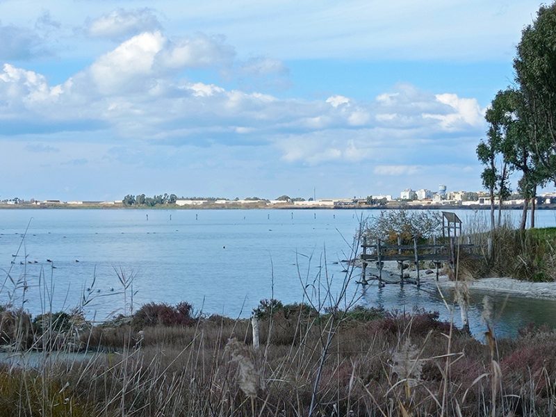 Stagno di Santa Giusta, Santa Giusta (OR)