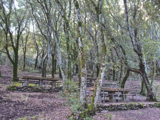 Mitza Predi Giuanni Antoni, Foresta Marganai, Domuscnovas (SU)