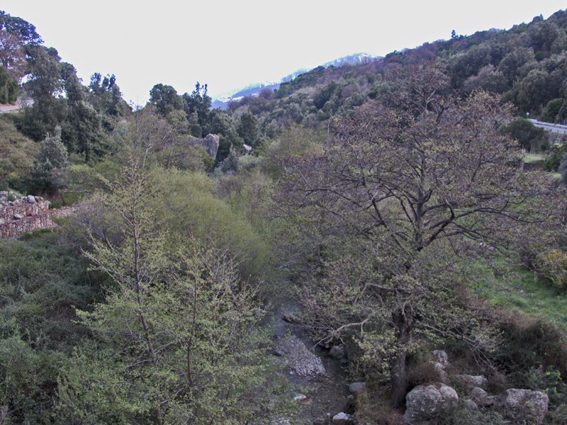 Valle del Rio Pardu, Gairo (NU)