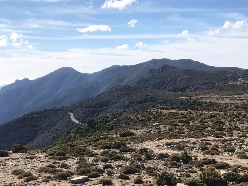 Monte Genziana, Talana (NU)