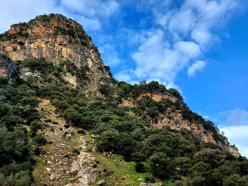 Monte Lora, San Vito (SU)