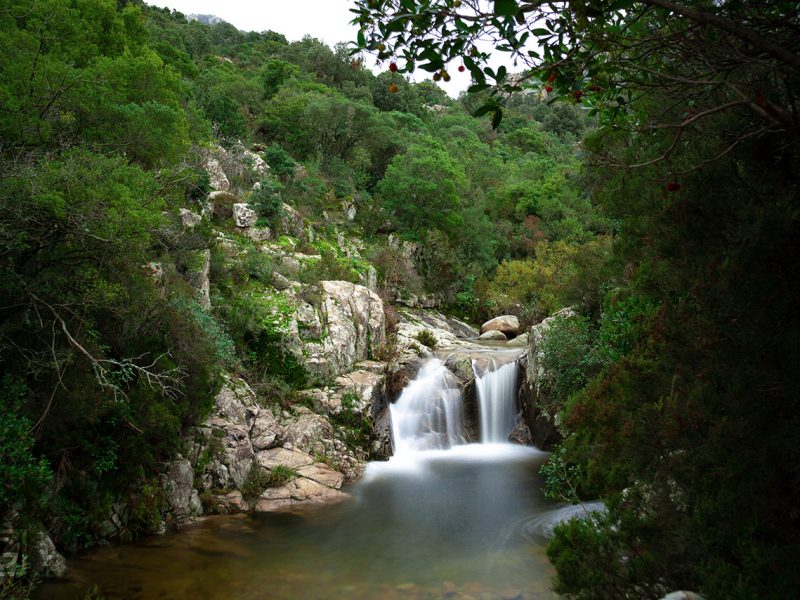 Piscine Naturali del Rio Pisciaroni, Monte Limbara, Tempio Pausania (SS)