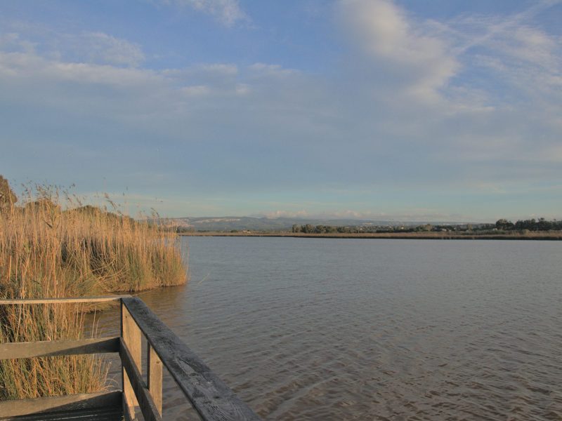 Stagno di Platamona, Sorso