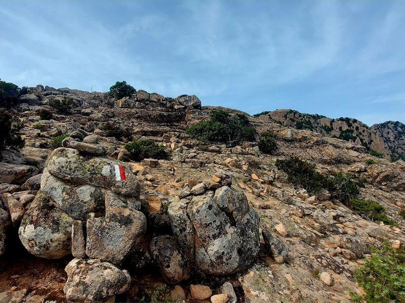 Monte Lattias, Oasi WWF Monte Arcosu, Assemini