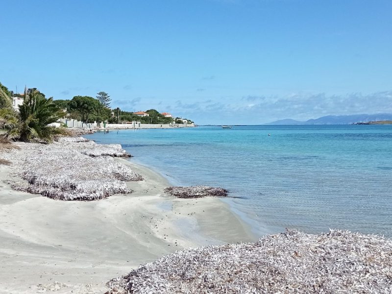 Taccarossa, Carloforte, Isola di San Pietro