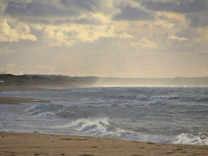 Spiaggia di Is Arenas, Narbolia