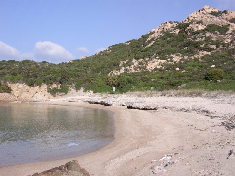 Cala d'Alga, Isola di Spargi, Arcipelago di La Maddalena