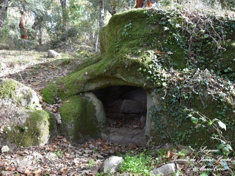 Domus de Janas di Santu Luisu, Sorgono