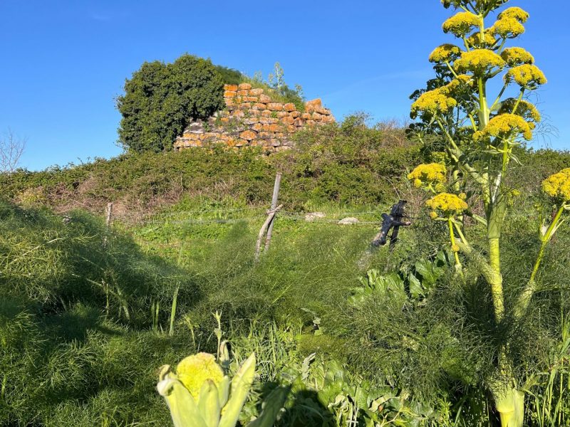 Nuraghe Tossilo, Macomer