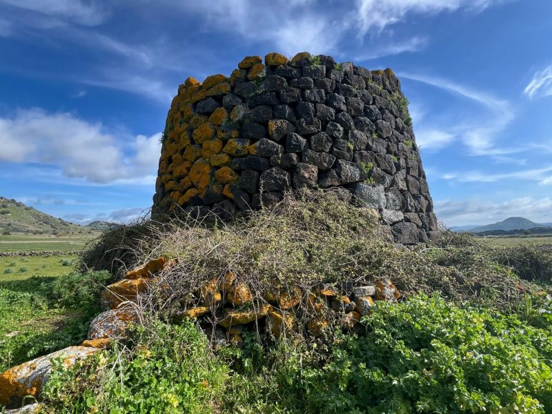 Nuraghe Longu, Torralba