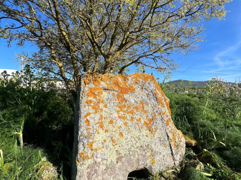 Tomba di giganti di Castigadu o S'Altare, Macomer