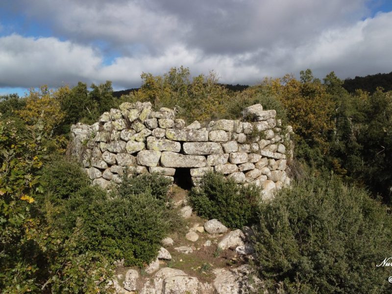 Sorgono, Nuraghe Bardacolo