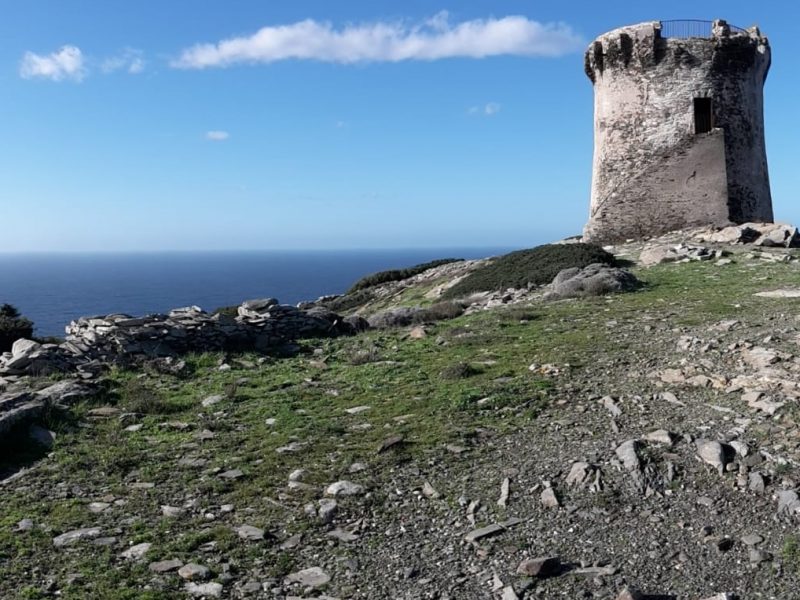 Torre Falcone, Stintino