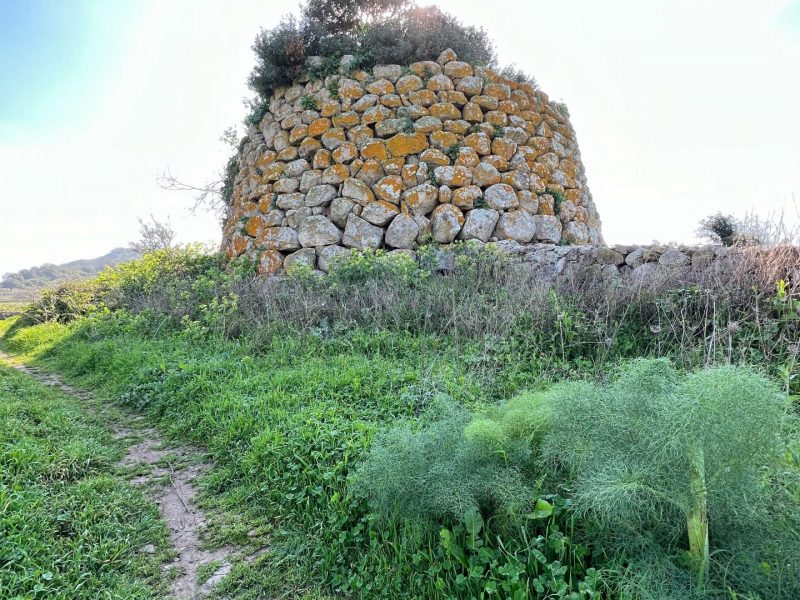 Oniferi, Nuraghe Murtas