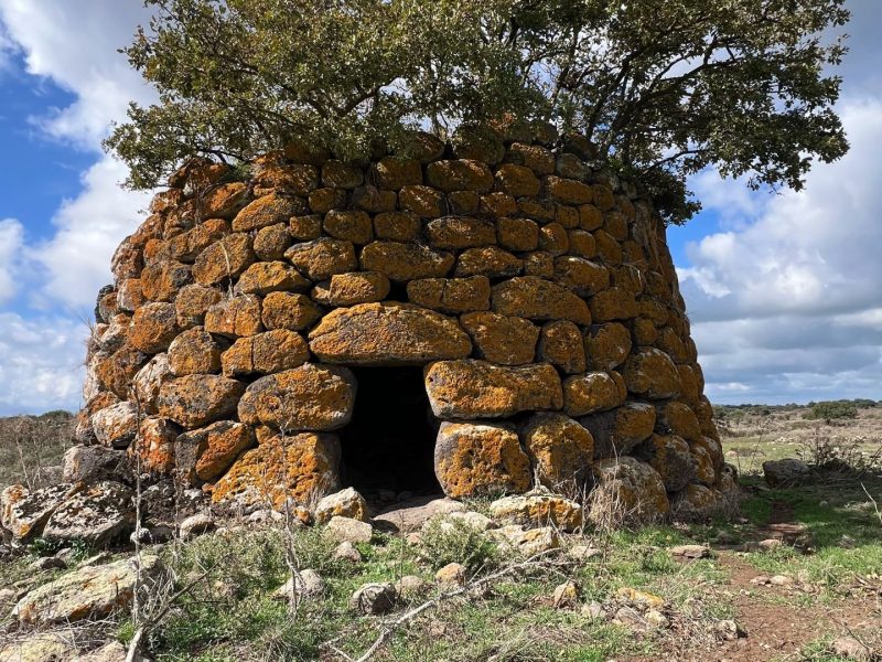 Macomer, Nuraghe Mura Sauccu