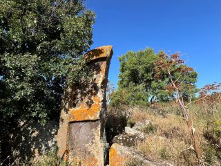 Borore, Tomba dei giganti di Sa Pedra Longa o Sa Figu