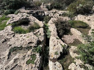 Tempio Punico di Astarte, Cagliari